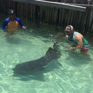 Meet your Posher, Armando